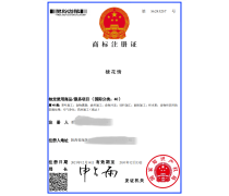 ISO体系产品库 构建知识产权服务新生态