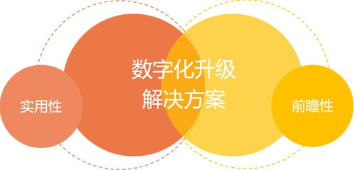 CCN中商再获殊荣 贝泰妮集团授予2021年度知识产权服务奖